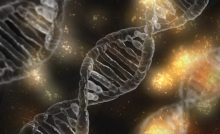 celulas-madre-podrian-ayudar-a-revertir-la-ceguera-por-degeneracion-macular