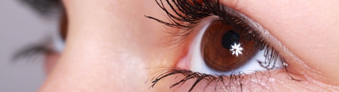 Estudios revelan posibilidad de perfeccionar la visión a través de ejercicios