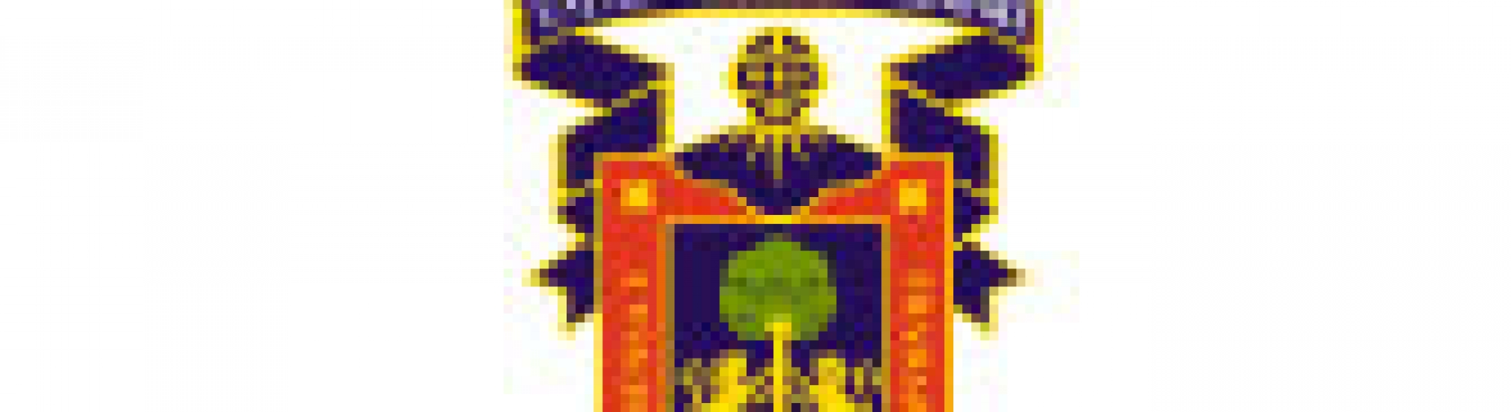 Universidad de Guadalajara  E retina